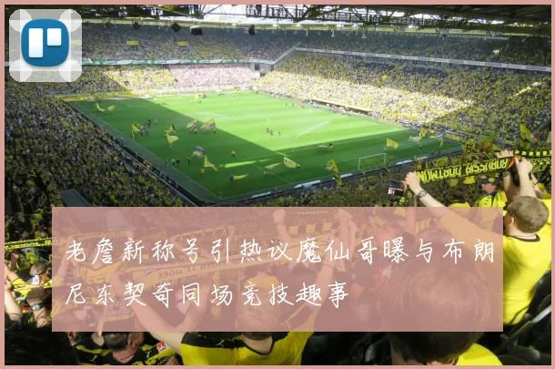 老詹新称号引热议魔仙哥曝与布朗尼东契奇同场竞技趣事