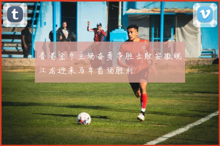香港金牛主场奋勇争胜击败安徽皖江龙迎来马年首场胜利
