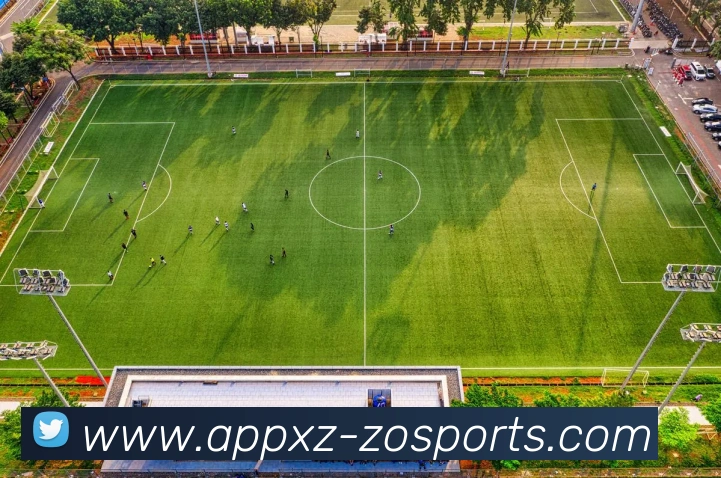 中欧体育平台生态图